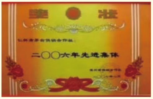 荣誉10