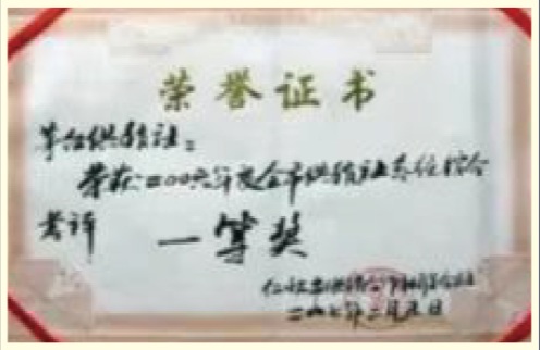 荣誉11