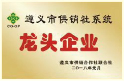 荣誉12